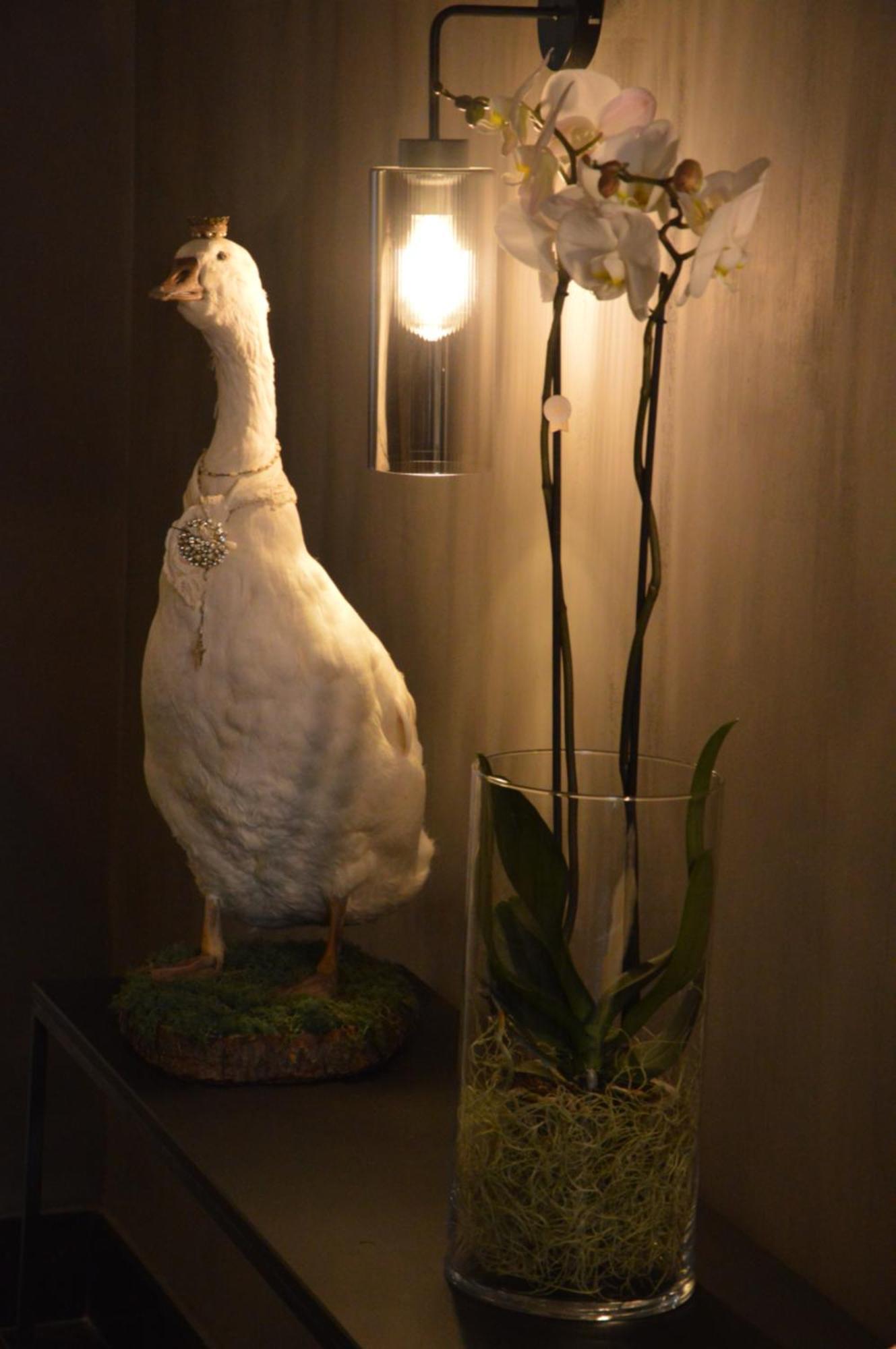 Amato-Brugge Bed & Breakfast Екстериор снимка